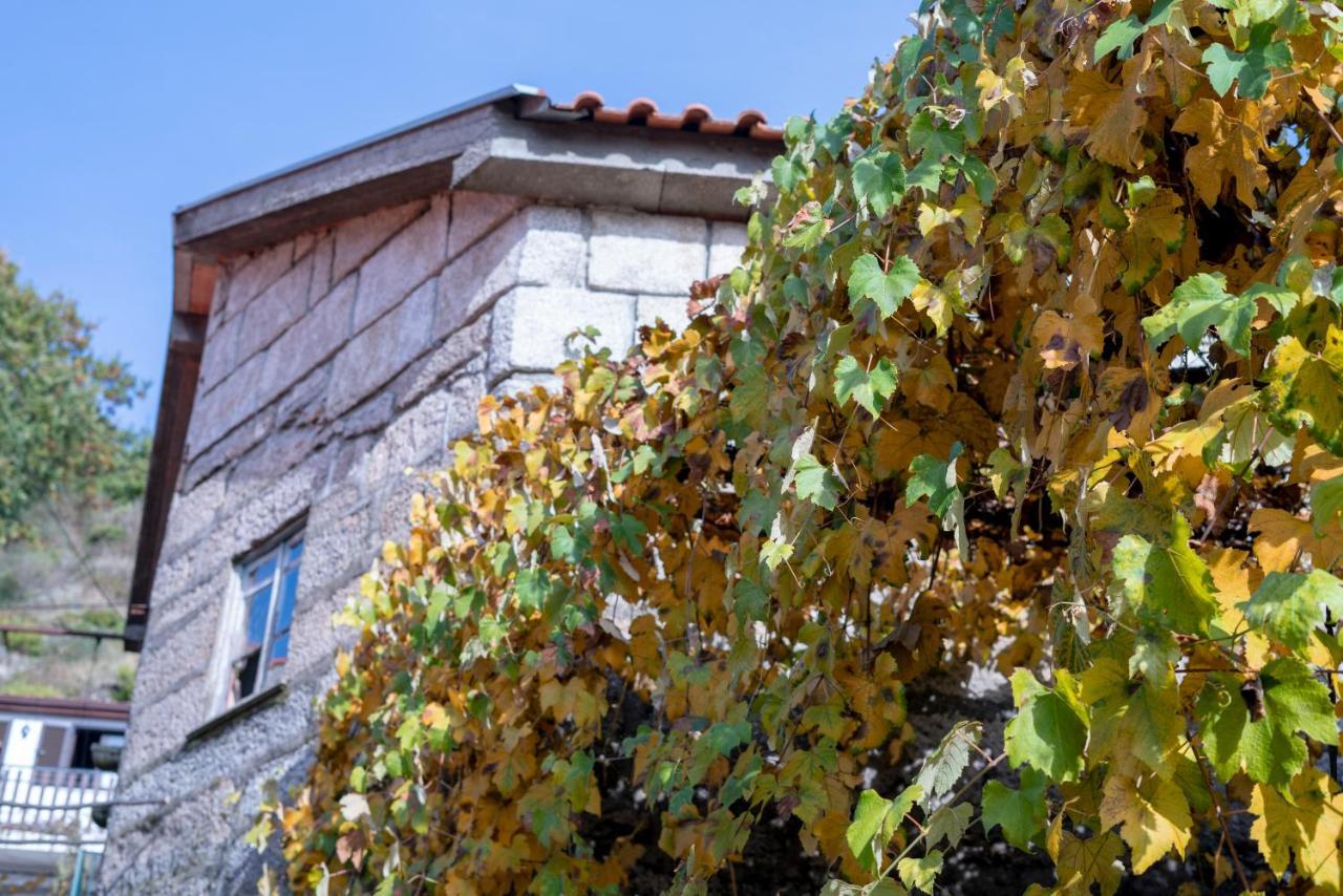 캄푸 두 제레스 Casa Do Palheiro 빌라 외부 사진